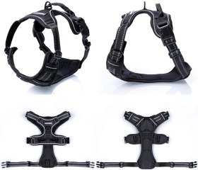 تصویر هارنس سگ رَبیتگو (Rabbitgoo) 