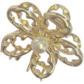 تصویر کلیپس مجلسی بابونه 