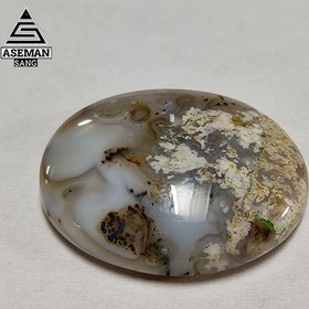 تصویر شجر S72 