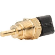 تصویر فشنگی آب خودرو کیا سراتو سایپا 