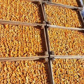 خرید و قیمت برگه زردآلو سایه خشک و تازه کندوان | ترب
