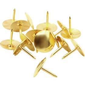 تصویر پونز طلایی 