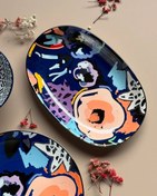 تصویر دیس بیضی دنی هوم 