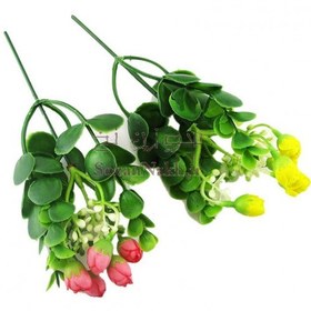 تصویر شاخه گل کوچک غنچه 