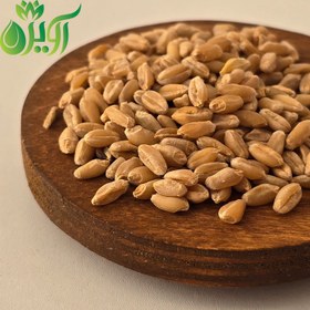 تصویر گندم باپوست 