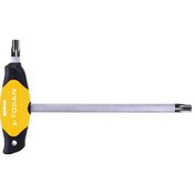 تصویر آلن دسته تی و ستاره ای توسن 