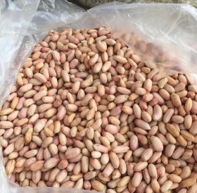 تصویر بسته 100 کیلویی بذر بادام زمینی 