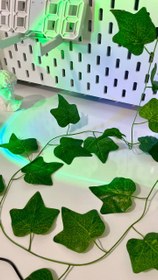 تصویر ریسه برگ 