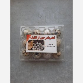 تصویر تخم بلدرچین ارگانیک 