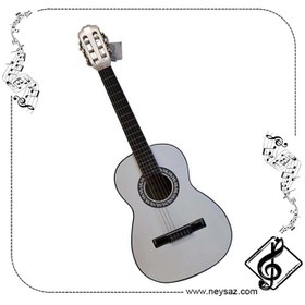 تصویر گیتار مارک دیاموند 