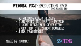 تصویر دانلود جعبه ابزار تدوین فیلم عروسی برای پریمیر 