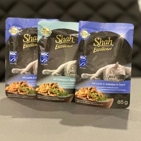 تصویر پوچ شاه با طعم ماهی سالمون و ماهی کاد در سس pouch Shah