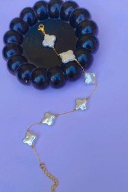 تصویر پابند صدف استیل 