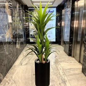 تصویر درختچه یوکا مصنوعی 