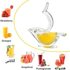 تصویر آبلیمو گیر دستی شفاف طرح پرنده 