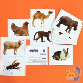 تصویر کارت های دیدآموز جانوران 1 