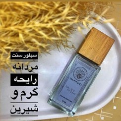 تصویر ادکلن مردانه سیلورسنت 30 میل برند تاپوتی 