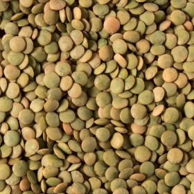 تصویر عدس وکیوم 800 گرم 