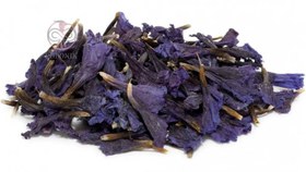 تصویر گل گاوزبان 