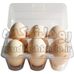 تصویر تخم اردک محلی 