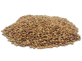 تصویر عدس ریز STC 