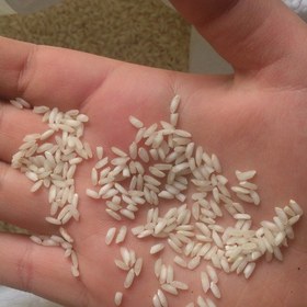 تصویر برنج عنبربو عطر و وی خوب ضمانت مرجوع 