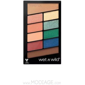 تصویر سایه چشم 10 رنگ وت اند وایلد - E763 Wet N Wild Color Icon Shadow Palette 10g