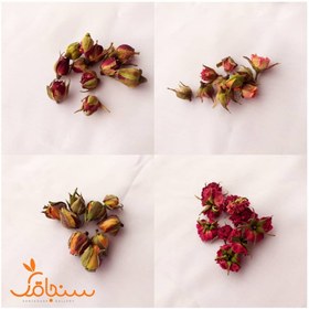 تصویر مینی پک غنچه گل رز 