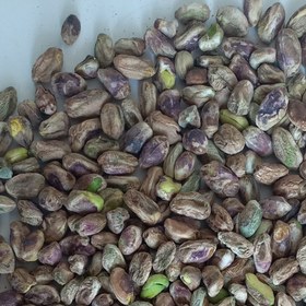 تصویر مغزپسته معمولی 