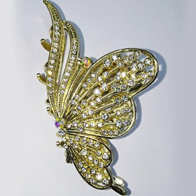 تصویر کلیپس مجلسی فلزی کد 5 