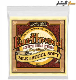 تصویر سیم گیتار آکوستیک ارنی بال مدل ERNIE BALL 2045 EARTHWOOD SOFT 