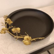 تصویر میوه خوری مون برنجی 