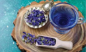 تصویر گل گاو زبان 