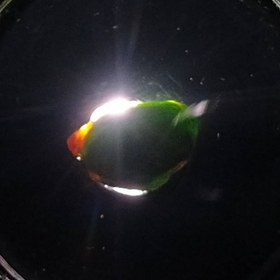 تصویر راف جواهری دمانتوئید k758 