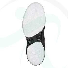 تصویر کفش والیبال مردانه اسیکس ژل هوپ Asics Gel Hoop PV10 Wide TBF340.9026 