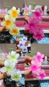 تصویر کلیپس پلومریا سه تایی 