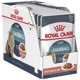 تصویر پوچ گربه ضد گلوله مو خورشتی رویال کنین مدل Hairball Care وزن 85 گرم 