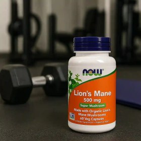 تصویر قارچ یال شیر ناو Lions Mane NOW