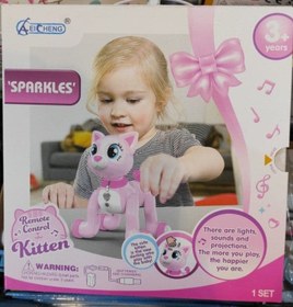 تصویر گربه کنترلی 