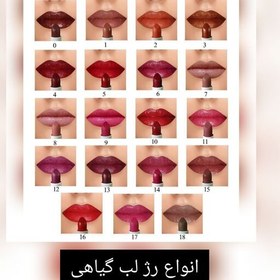 تصویر رژ لب گیاهی نیکا ( 19 رنگ ) رنگ دلخواه اعلام کنید 