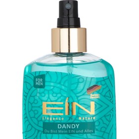 تصویر بادی اسپلش مردانه مدل Dandy حجم 250 میل ای آی ان Ein Dandy Body Splash For Men 250 ml