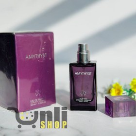 تصویر ادکلن جیبی زنانه ان وی مدل آمیتیس ENVY AMYTHYST