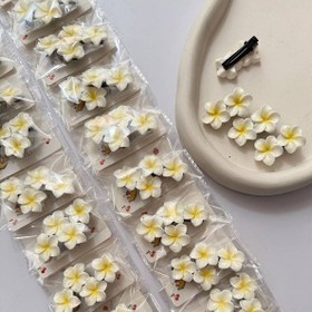 تصویر گیره انبری پلومریا ترند Pu36 