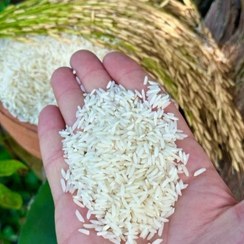 تصویر برنج طارم هاشمی کشت یک - 2کیلوگرم Rice