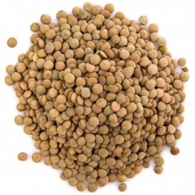 تصویر بذر عدس دیم ریز 20 عددی 