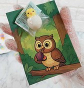 تصویر گیفت نشانه ج - گیفت جغد با پاکن 