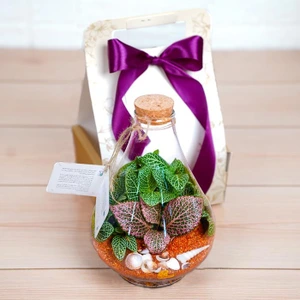 تصویر فروشگاه خانه گل گلوريا