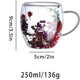 تصویر لیوان دوجداره گل خشک Double-walled glass of dried flowers