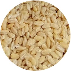 تصویر گندم پوست کنده پاک شده اعلا وزن 1 کیلوگرم 