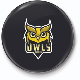 تصویر پیکسل طرح جغد کد 38.87 